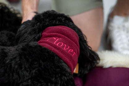 Personalised Fleece Dog Snood - 4 Sizes, Made to Order - Hugo and Ted