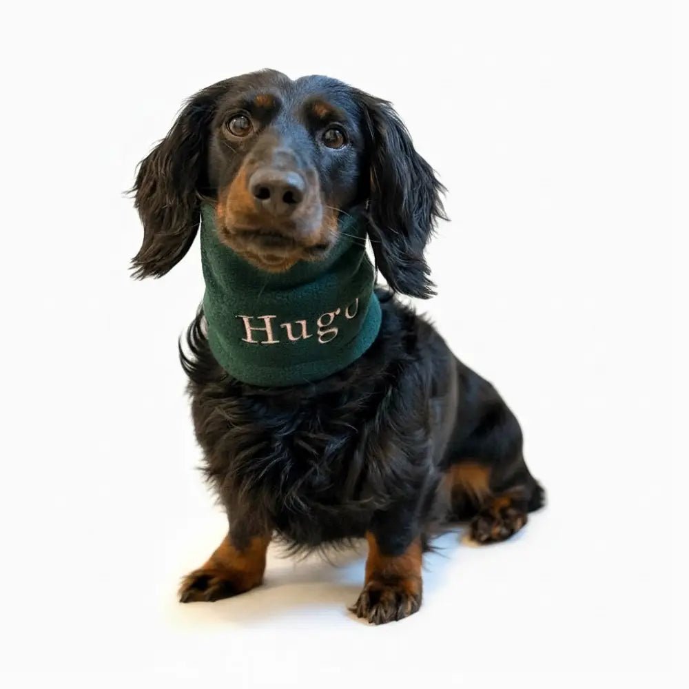 Personalised Fleece Dog Snood - 4 Sizes, Made to Order | Hugo and Ted - Hugo and Ted