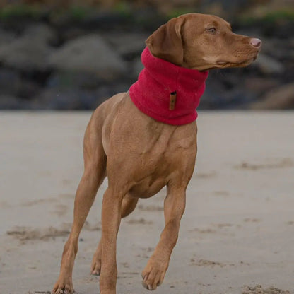 Personalised Fleece Dog Snood - 4 Sizes, Made to Order | Hugo and Ted - Hugo and Ted