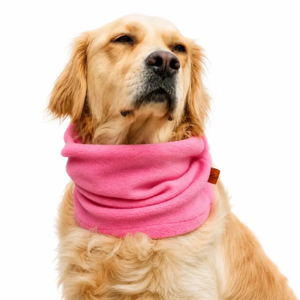 Personalised Fleece Dog Snood - 4 Sizes, Made to Order | Hugo and Ted - Hugo and Ted