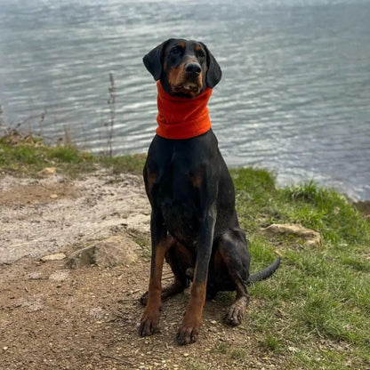 Personalised Fleece Dog Snood - 4 Sizes, Made to Order | Hugo and Ted - Hugo and Ted
