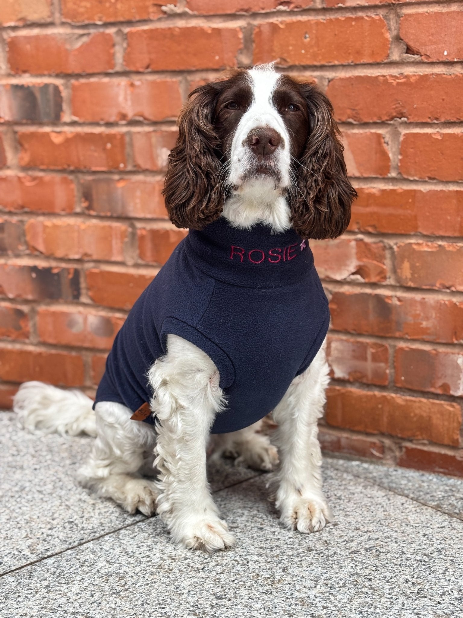 Personalised Made - to - Measure Fleece Dog Jumper – Custom Fit & Embroidery - Hugo and Ted