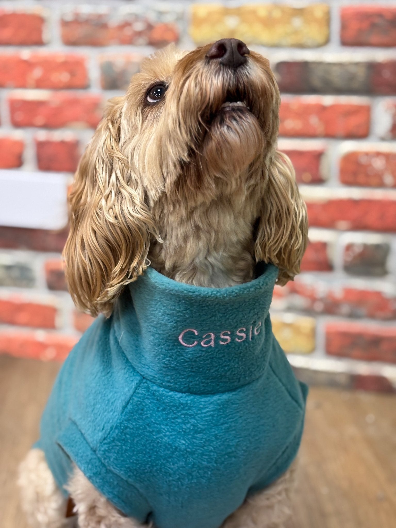 Personalised Made - to - Measure Fleece Dog Jumper – Custom Fit & Embroidery - Hugo and Ted