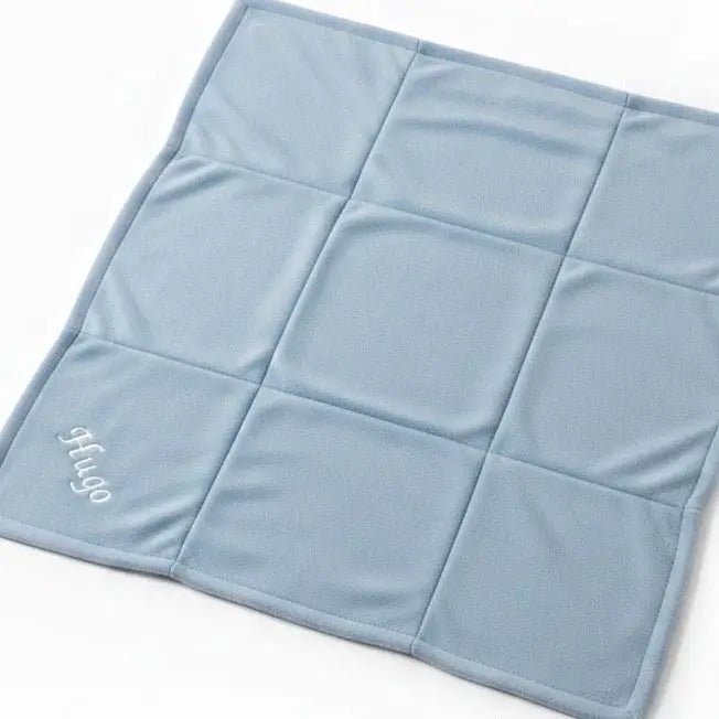 Personalised Puppy Blanket - Soft Fleece Dog Blanket - Hugo and Ted