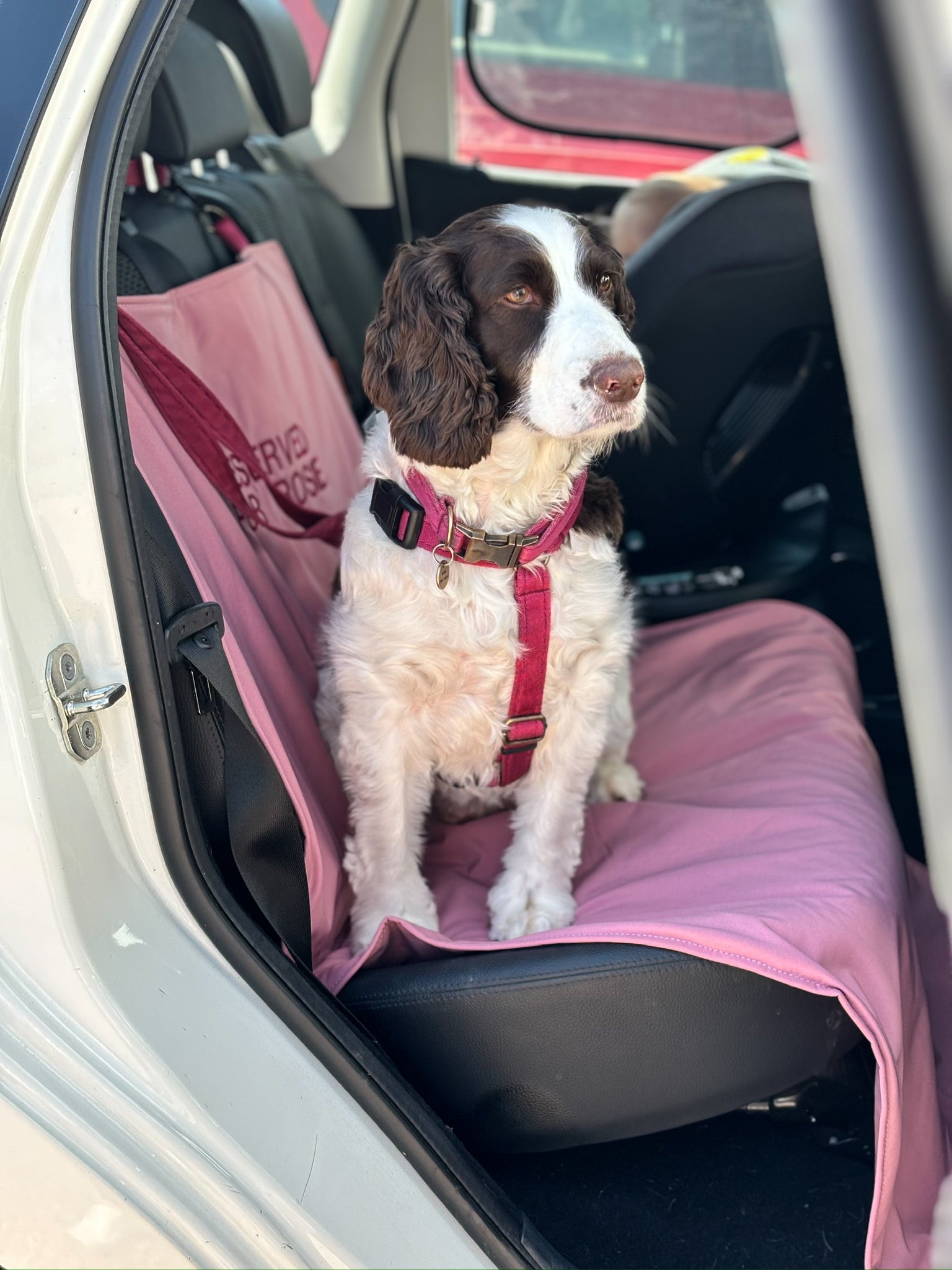 Personalised Waterproof Boot/Car Seat Liners - Hugo and Ted