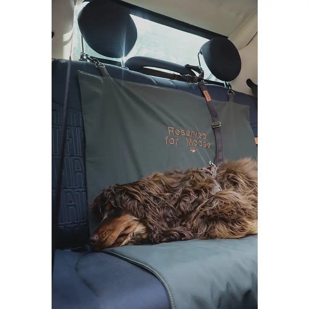 Personalised Waterproof Dog Car Boot Liner - Rainfleece, Wipe Clean - Hugo and Ted