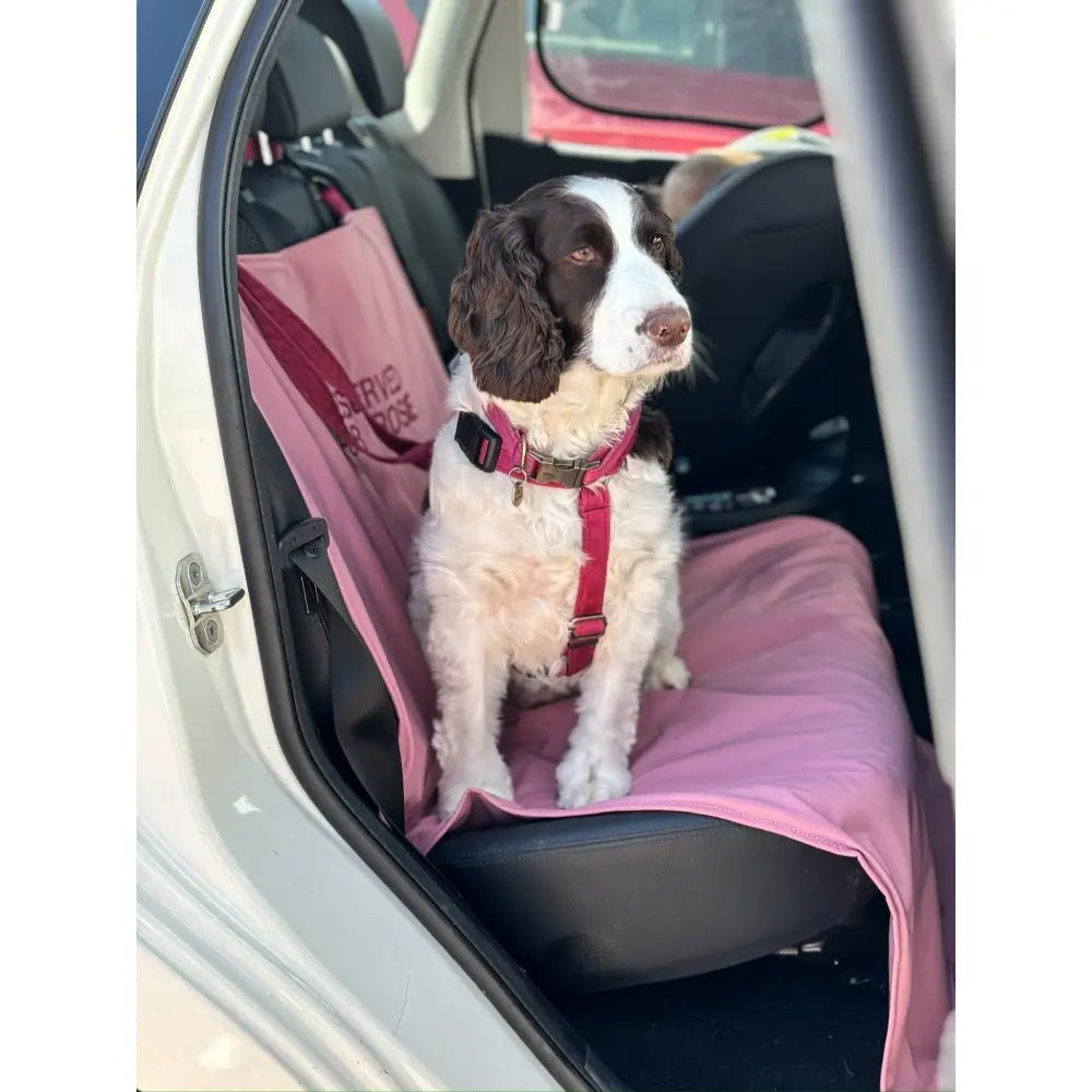 Personalised Waterproof Dog Car Boot Liner - Rainfleece, Wipe Clean - Hugo and Ted