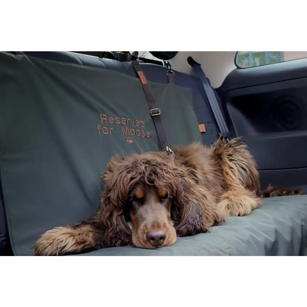 Personalised Waterproof Dog Car Boot Liner - Rainfleece, Wipe Clean - Hugo and Ted