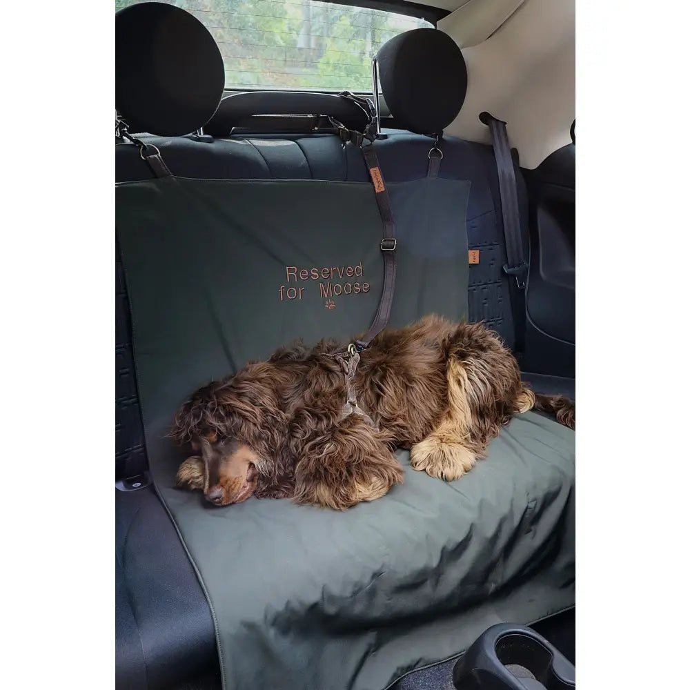 Personalised Waterproof Dog Car Boot Liner - Rainfleece, Wipe Clean - Hugo and Ted