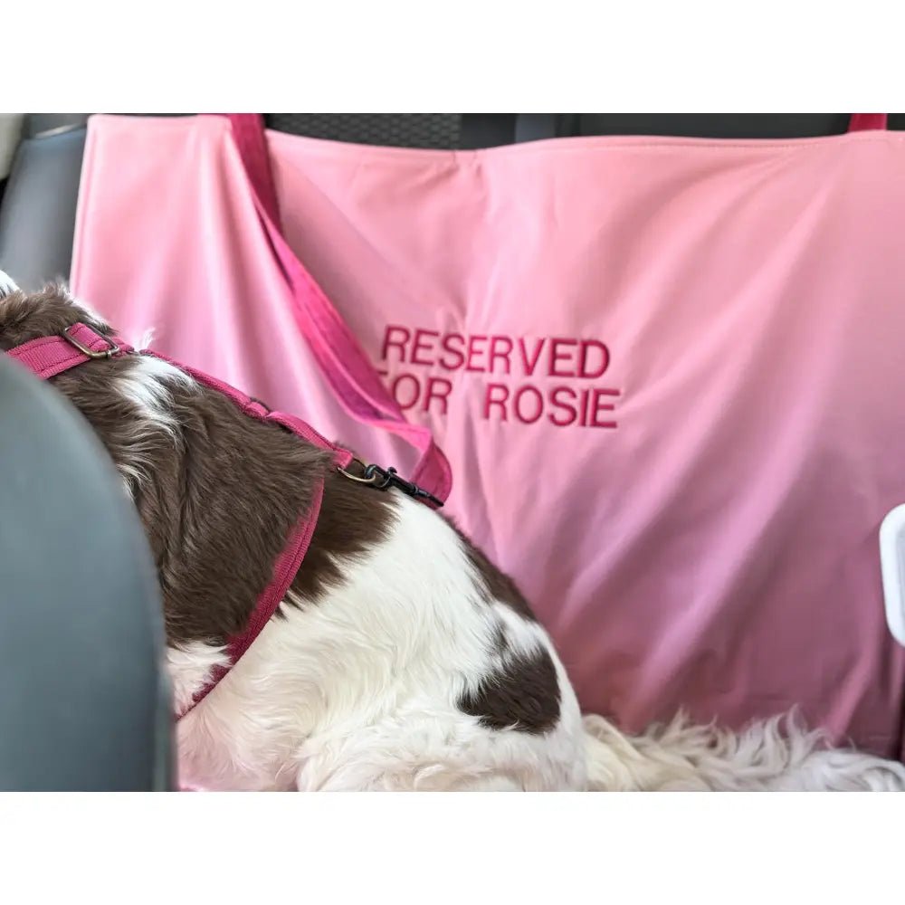 Personalised Waterproof Dog Car Boot Liner - Rainfleece, Wipe Clean - Hugo and Ted