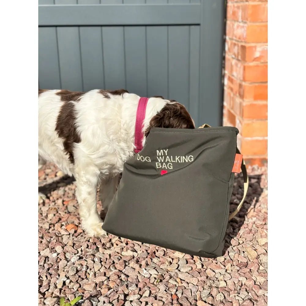 Personalised Waterproof Dog Walking Tote Bag - No Zip - Hugo and Ted