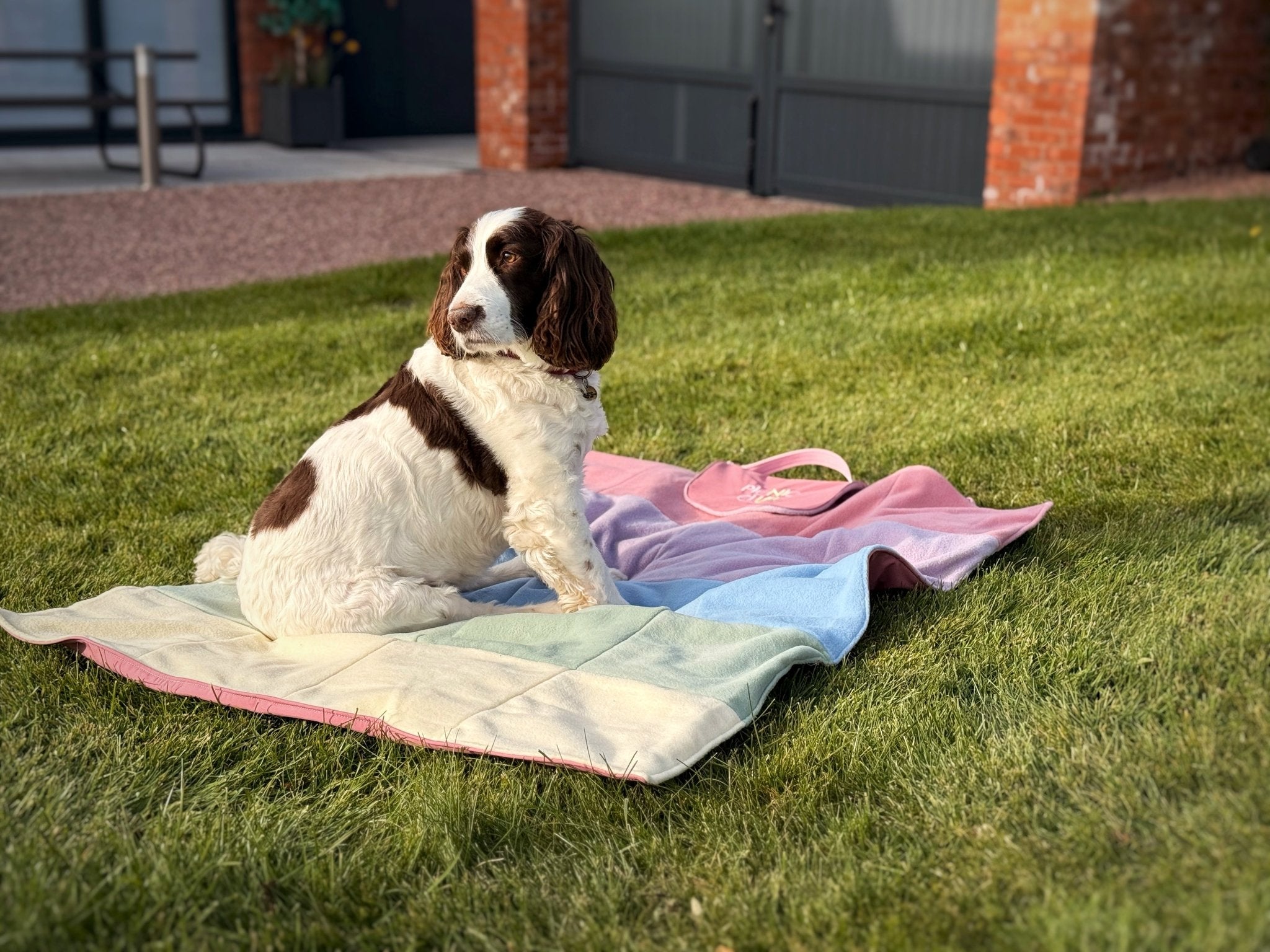 'Picnic Club' Rainfleece Walkies Mat - Hugo and Ted