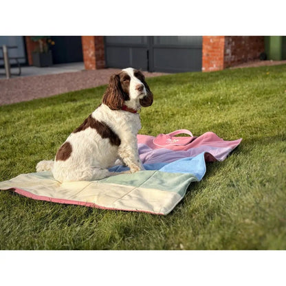 'Picnic Club' Rainfleece Waterproof Walkies Mat - One Standard Size - Hugo and Ted