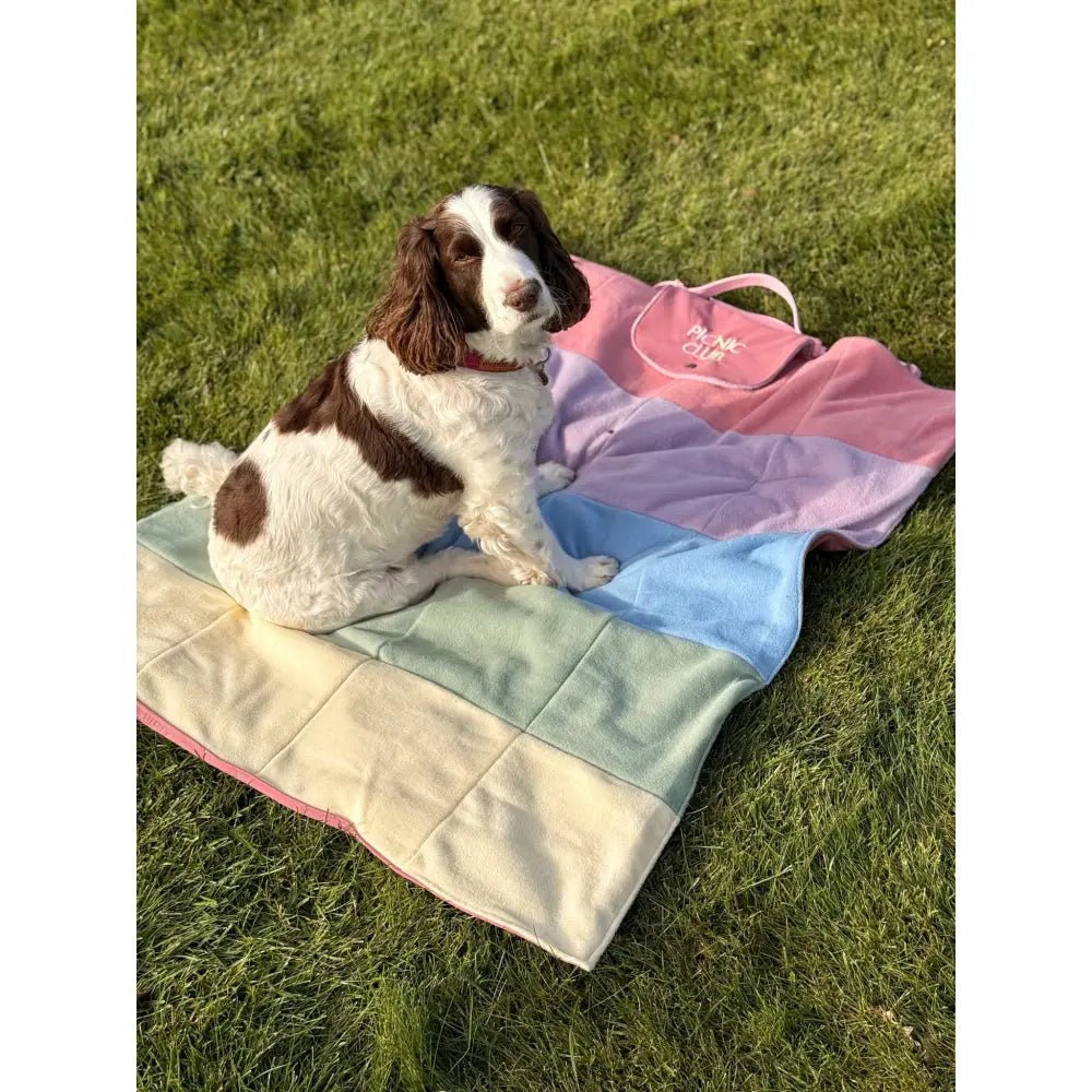 'Picnic Club' Rainfleece Waterproof Walkies Mat - One Standard Size - Hugo and Ted