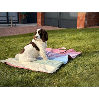 'Picnic Club' Rainfleece Waterproof Walkies Mat - One Standard Size - Hugo and Ted