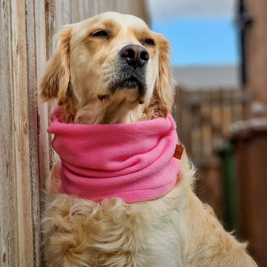 Polar Fleece Dog Snood – Soft, Stylish Neck Warmer for Snug Walks - Hugo and Ted