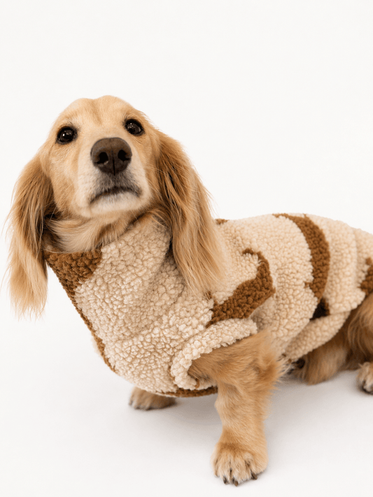 PREORDER Dachshund Sherpa Fleece Dog Jumper - Made to Measure - Hugo and Ted
