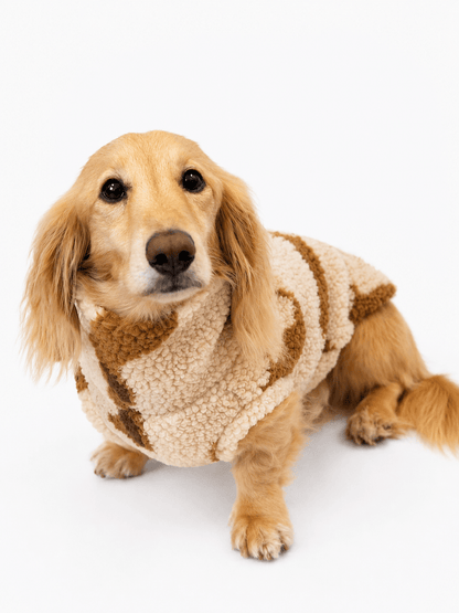 PREORDER Dachshund Sherpa Fleece Dog Jumper - Made to Measure - Hugo and Ted