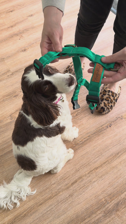 Padded Strap Harness