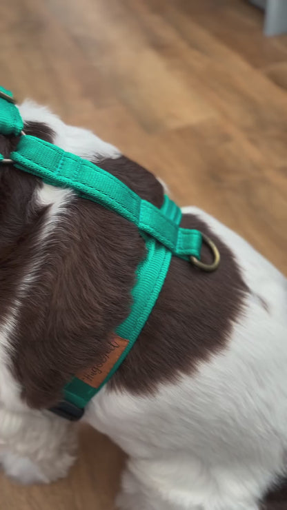 Strap Harness – Lightweight, Wipe-Clean Step-In Harness