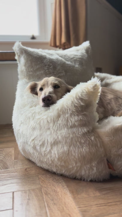 Luxe Lounger Deluxe Dog Sofa Bed – Luxury Pet Couch for Ultimate Comfort