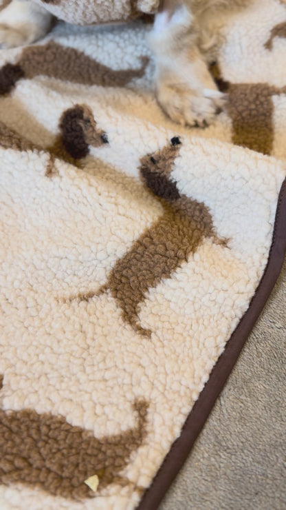 Dachshund Sherpa Lap Blankets