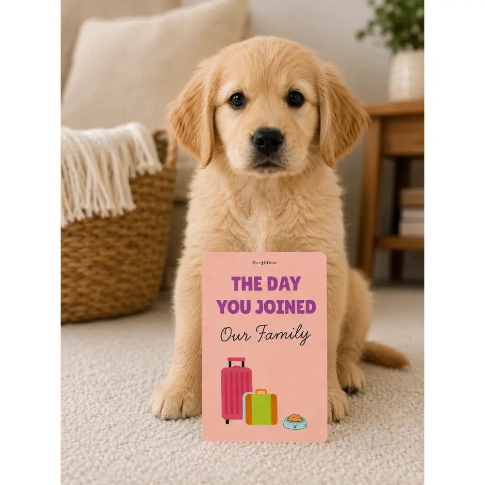Printed Puppy Milestone Cards - Set of 10 - Hugo and Ted