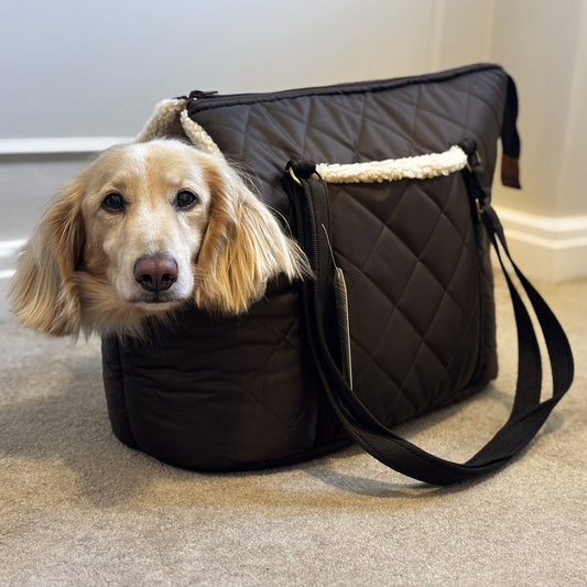 Quilted Dog Carry Bags – Padded, Waterproof & Comfortable for Small Dogs on the Go - Hugo and Ted