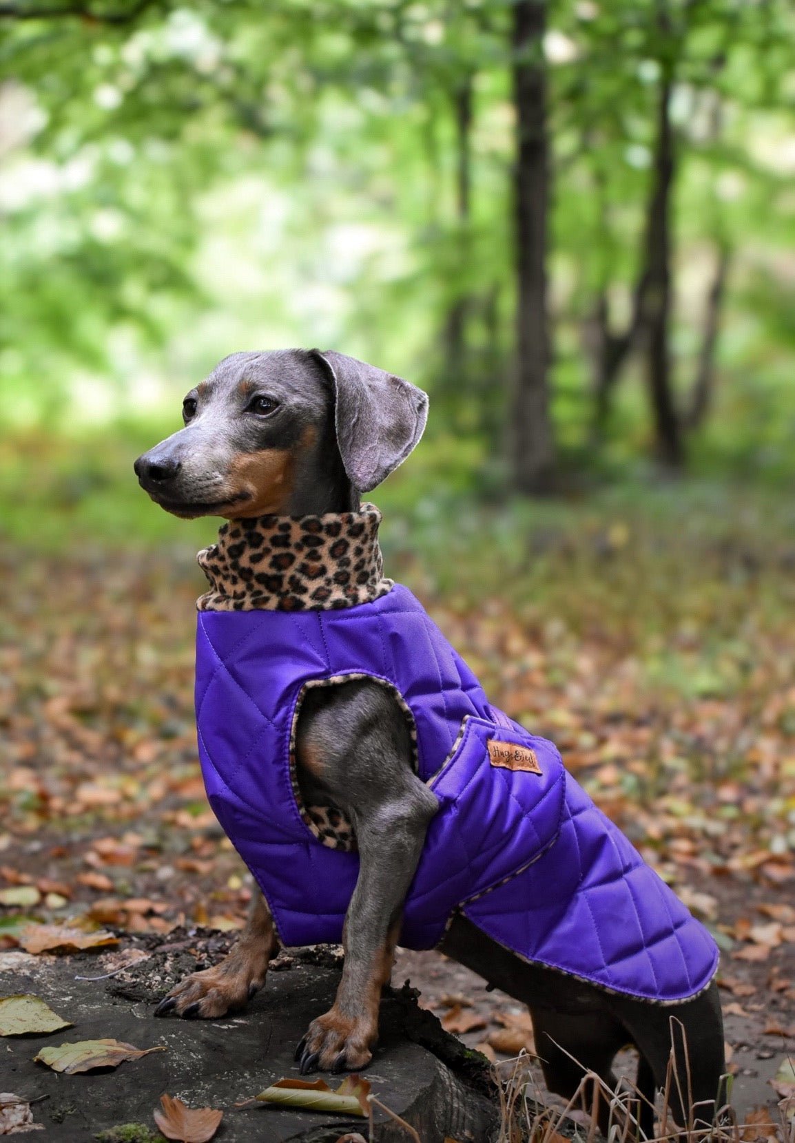 Quilted Ultimate Walkies Waterproof Dog Coat – Custom Fit for Walks & Wet Weather Adventures - Hugo and Ted