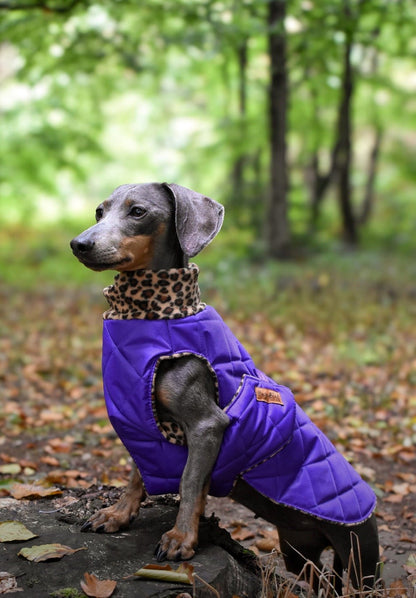 Quilted Ultimate Walkies Waterproof Dog Coat – Custom Fit for Walks & Wet Weather Adventures - Hugo and Ted