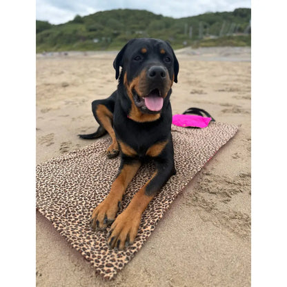 Quilted Walkies Mats – Waterproof, Soft Fleece Mat for Outdoor Adventures & Café Visits - Hugo and Ted