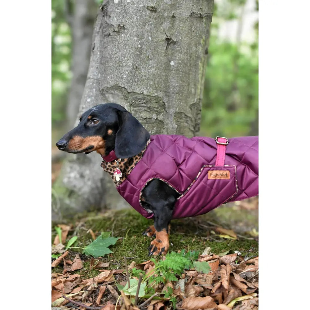 Quilted Ultimate Walkies Waterproof Dog Coat – Custom Fit for Walks & Wet Weather Adventures - Hugo and Ted