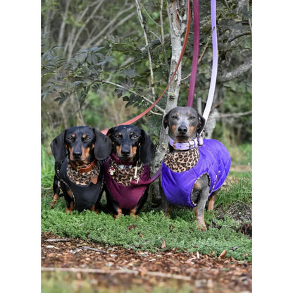 Quilted Ultimate Walkies Waterproof Dog Coat – Custom Fit for Walks & Wet Weather Adventures - Hugo and Ted
