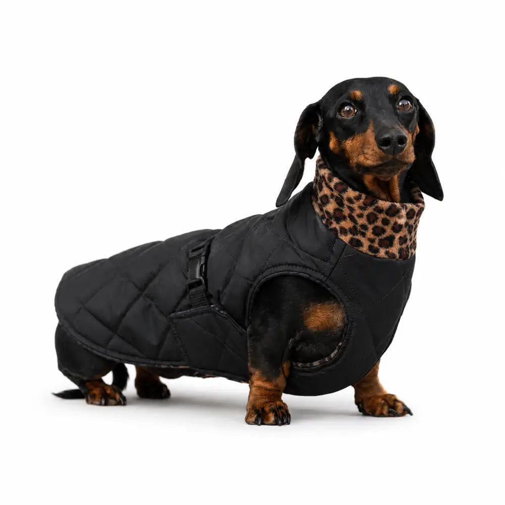 Quilted Waterproof Ultimate Walkies Coat - Made to Measure