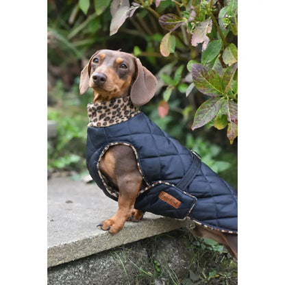 Quilted Ultimate Walkies Waterproof Dog Coat – Custom Fit for Walks & Wet Weather Adventures - Hugo and Ted