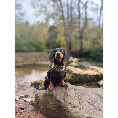 Quilted Ultimate Walkies Waterproof Dog Coat – Custom Fit for Walks & Wet Weather Adventures - Hugo and Ted