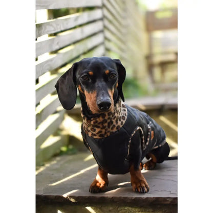 Quilted Ultimate Walkies Waterproof Dog Coat – Made to Measure, Fully Lined & Built for Wet Weather Adventures - Hugo and Ted