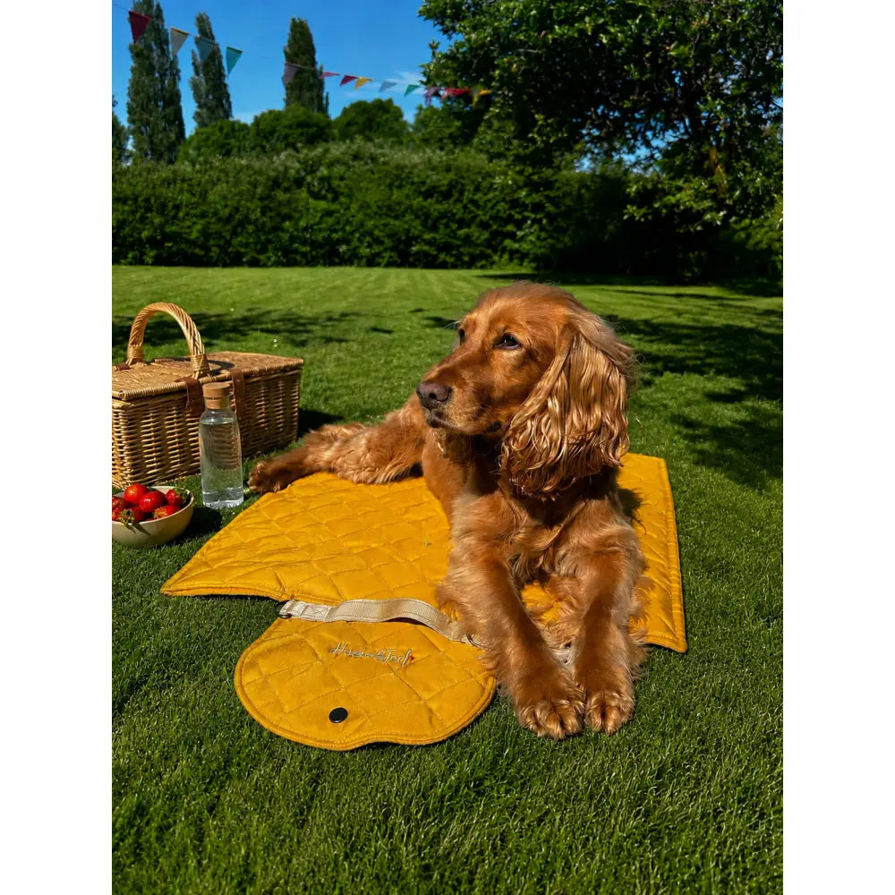 Quilted Waterproof Walkies Mats - Walkies Mat