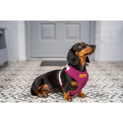 Rainfleece Harness