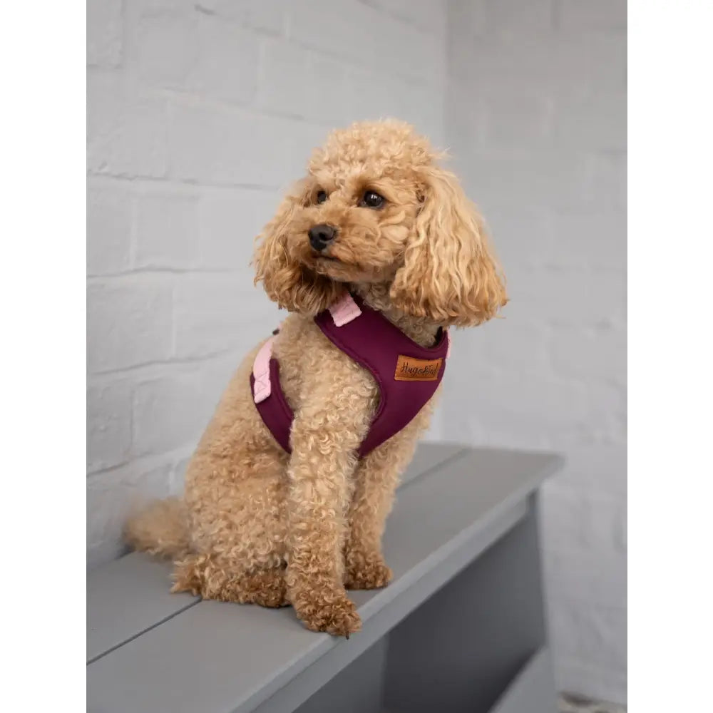 Rainfleece Harness