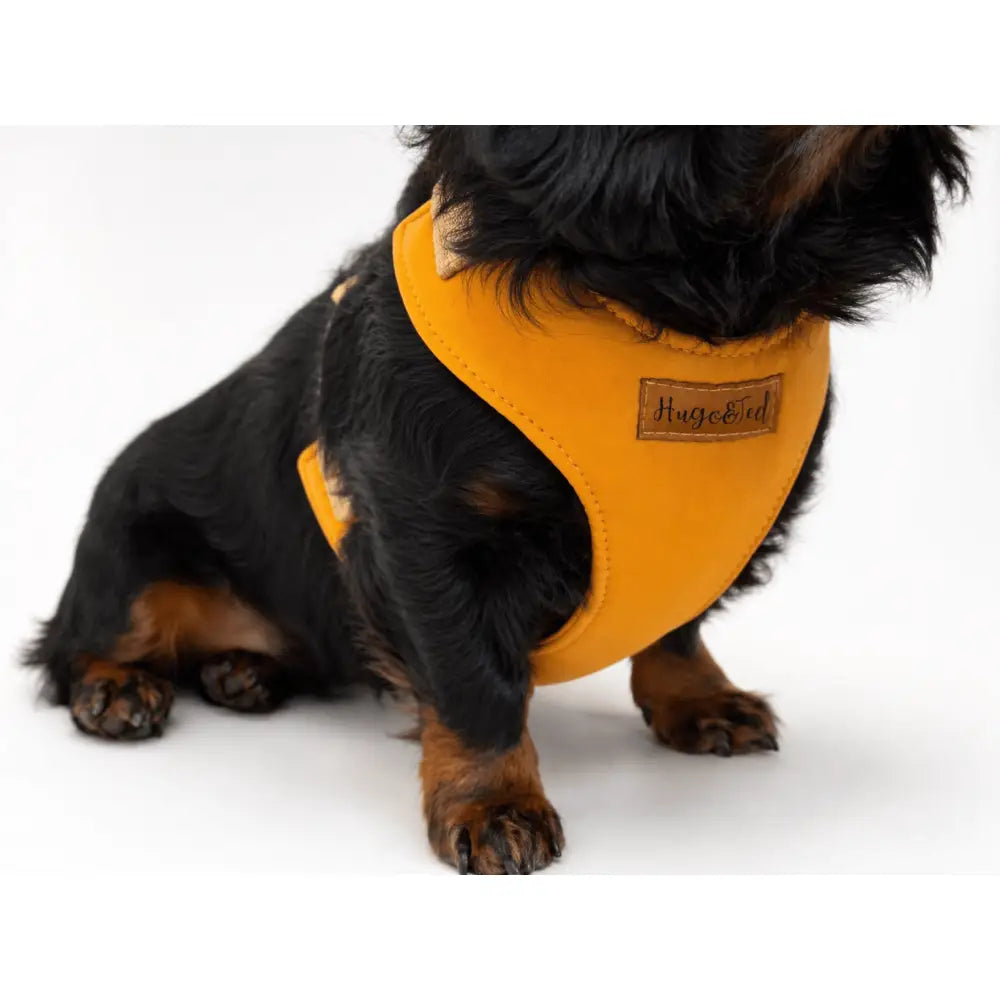 Rainfleece Harness - Hugo and Ted