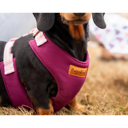 Rainfleece Harnesses - Soft, Durable, Waterproof, Practical Harnesses for Everyday Adventures - Hugo and Ted
