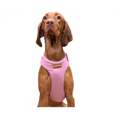 Rainfleece Harness - Hugo and Ted