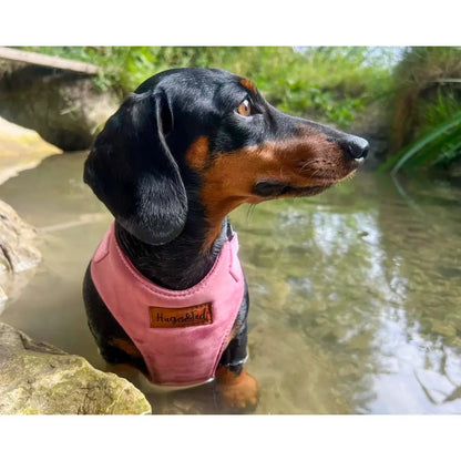 Rainfleece Harnesses - Soft, Durable, Waterproof, Practical Harnesses for Everyday Adventures - Hugo and Ted