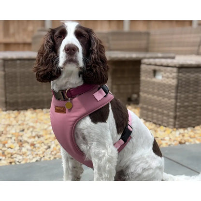 Rainfleece Harnesses - Soft, Durable, Waterproof, Practical Harnesses for Everyday Adventures - Hugo and Ted