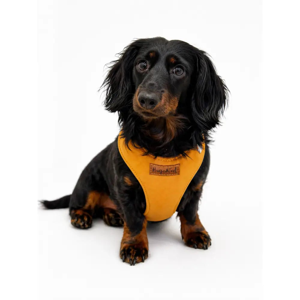 Rainfleece Harness