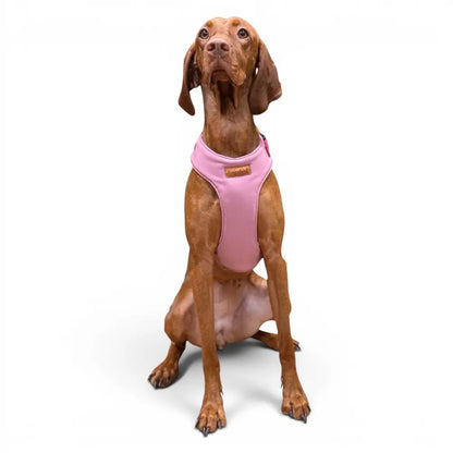 Rainfleece Harness - Hugo and Ted