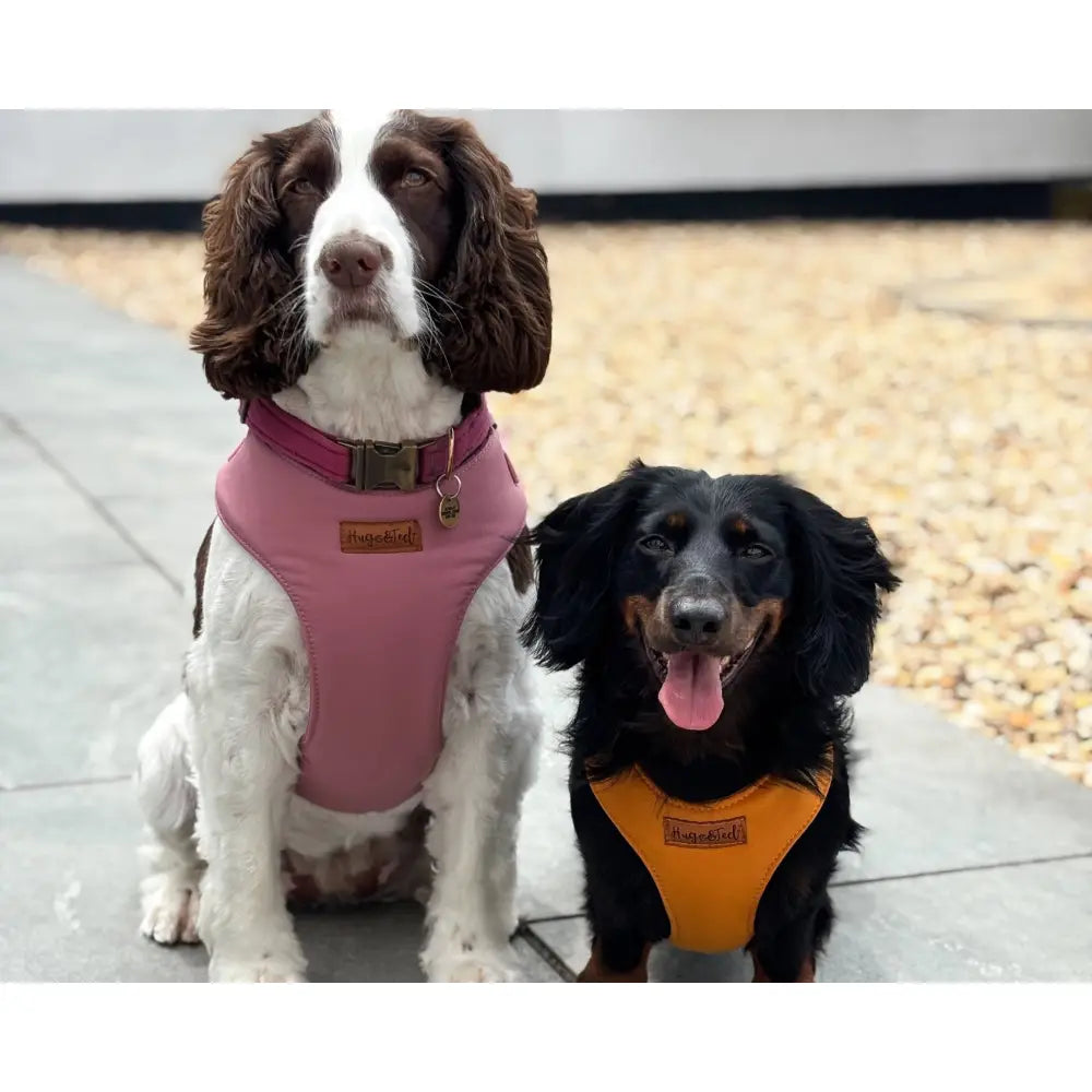 Rainfleece Harnesses - Soft, Durable, Waterproof, Practical Harnesses for Everyday Adventures - Hugo and Ted