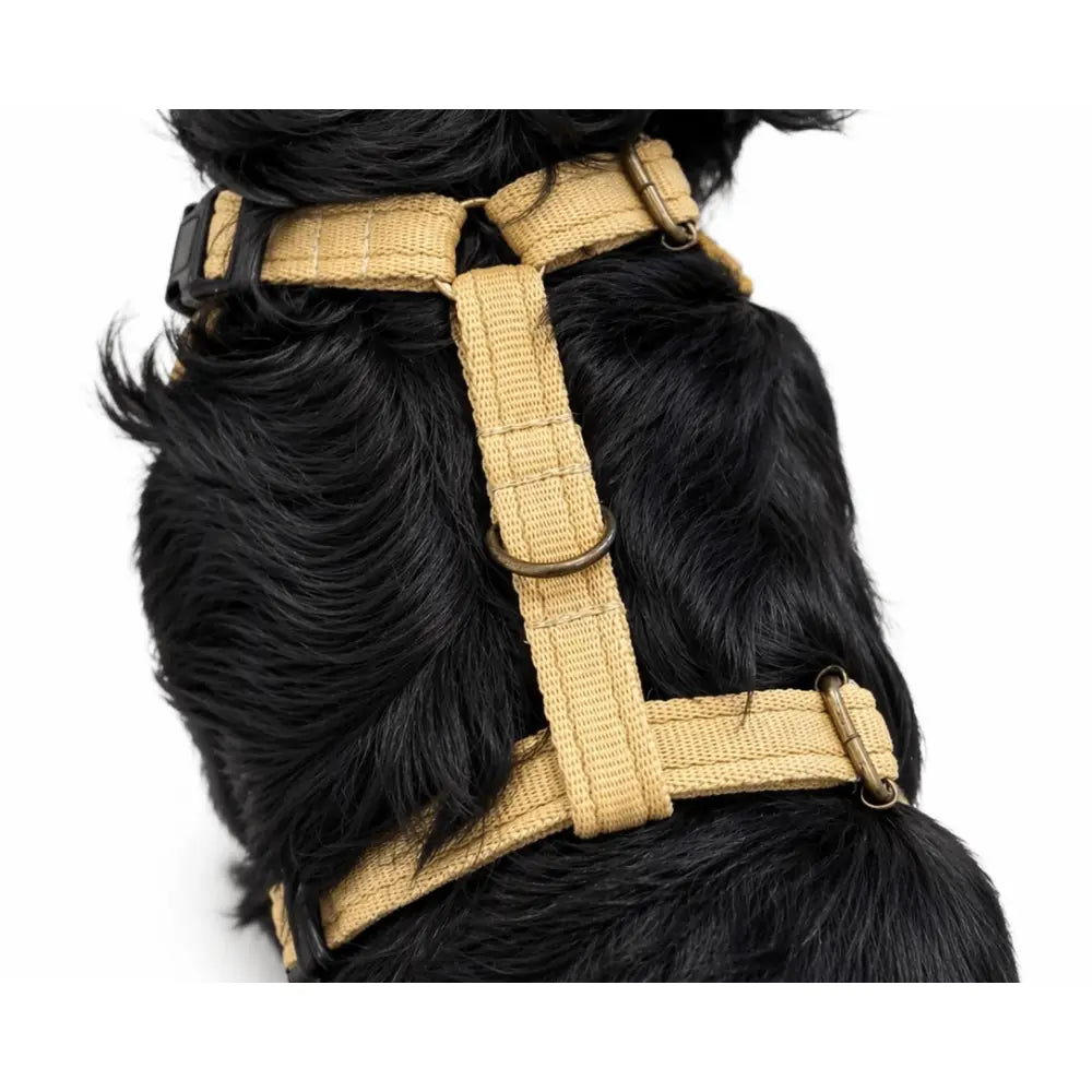 Rainfleece Harness - Hugo and Ted