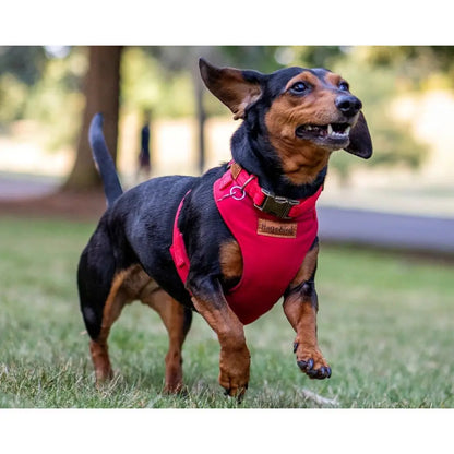 Rainfleece Harnesses - Soft, Durable, Waterproof, Practical Harnesses for Everyday Adventures - Hugo and Ted